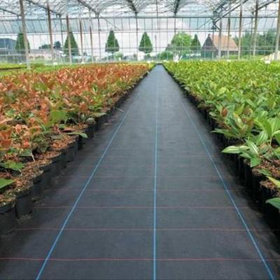 China extremely sturdy & tear-firm permeable for aerating and watering Chinese manufacturer wholesale low price grass cloth ground cover anti weed barrier for agricultural for sale