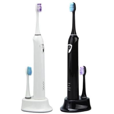 China Three brushing modes(Normal, Soft & Massage) sonic electric toothbrush TB-1201 for sale