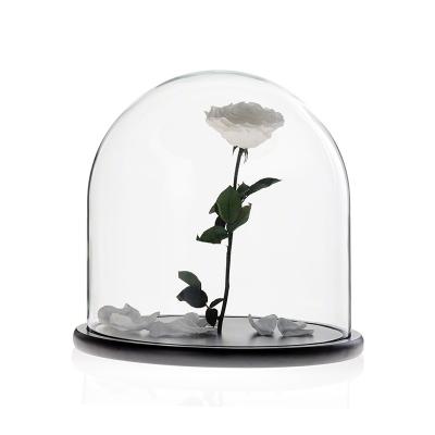 China D30 x H30cm Handmade Large Glass Display Box Dome Cloche With Wood Base for sale