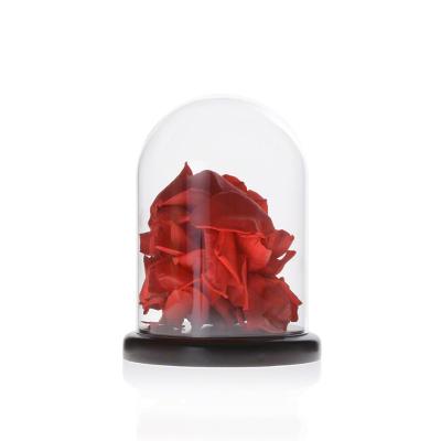 China Handmade Borosilicate D3.94xH6.3 Inch Glass Cloche Dome for sale