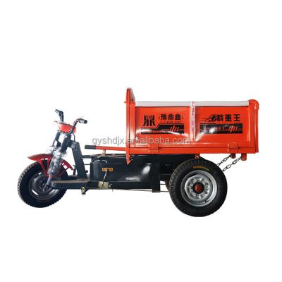 China Golf Course or Rent Electric Three-wheeler Loader 0.2 Ton Load Capacity Mini Electric Tricycle Cargo Unloader/Garden Truck for sale