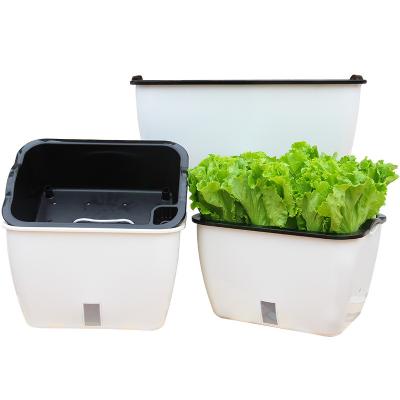 Chine Eco-friendly Double pot Fainéant légumes Laitue Visible niveau de l'eau Résine d'ananas Pot de fraise à vendre