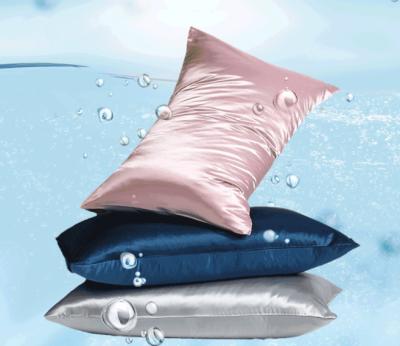 China Anti-Static Luxury Mulberry Pure Silk Vegan Silk Pillowcase Set For Hair And Skin Silk Cover for sale