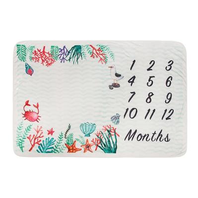 China Baby Blankets Milestone Baby Blanket Anti-Static Blanket Monthly Baby Milestone Luxury Milestone for sale