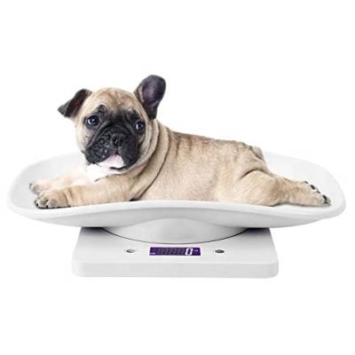 China ABS Plastic 10kg Pet Scale Balance Digital Electronic Food Scale Weighing Kitchen Scale for sale