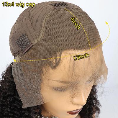 China Other Heat Resistance 150% Density Lace Front Wig Human Hair Brazilian Loose Wave Wigs Pre Plucked for sale