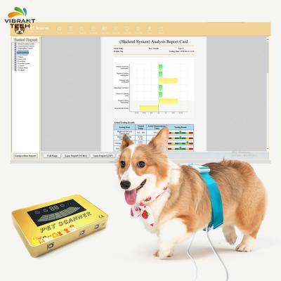 China Convenience Original Version Quantum Resonance Magnetic Physical Health Detector For Dog for sale