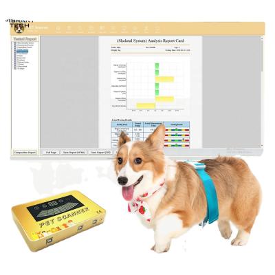 China pet store/quantum central resonance magnetic pet heathcare pet analyzer for dog and cat for sale