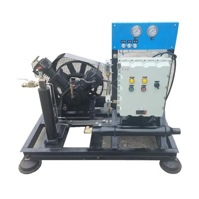 China 2017 hot sale high quality natural gas lubricated high quality CNG compressor for home use for sale