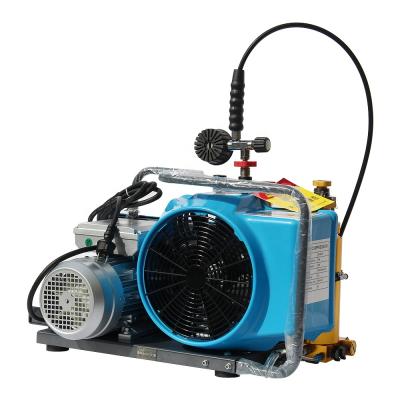 China DMC Lubricated Air Scuba Tank Breathing Portable Air Compressor For Sale Air Filling Adapter for sale