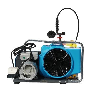 China DMC 15Kw 300bar Lubricated Air Tank Breathing Portable Air Compressor High Pressure Hose Scuba Diving For Sale for sale