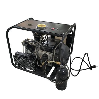 China DMC 300bar 4500psi 220V PCP Compressor Lubricated Scuba Compressor For Hunting for sale