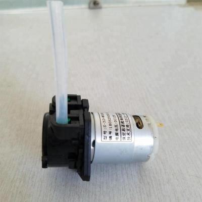 China Small compact size dc 12v 24 v mini electric water pump for sale