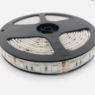 China 110v led strip lights white 6500K and warm white 3000K color changing IP65 Waterproof  CE RoHS ETL SAA for sale