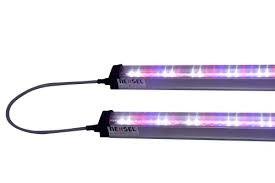 Cina Hydroponic Greenhouse T8 Full Spectrum LED Grow Lights Waterproof 4ft 1200mm in vendita