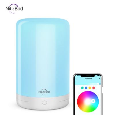 China Colorful Portable Wireless Alexa Voice Control Dimmable Night Light Wifi Bedside Bedside LED Touch LED Lamp for sale