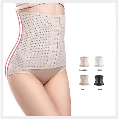 China Waist Trainer Plus Size Women Post Surgery Barrel Waist Trainer Belt Shapewear For Women Hollow Out for sale