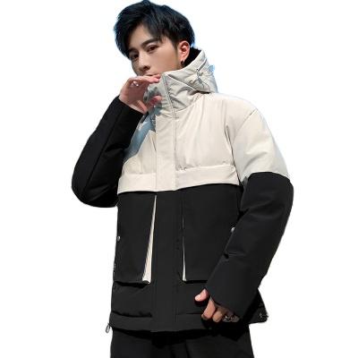 China Designer OEM High Quality Breathable Winter Printing Padded Cropped Stripper Jacket Cotton Coat Men for sale