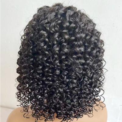 China Wholesale 13X6 13X4 HD Brazilian Curl Transparent Lace Human Front Hair Wig for sale