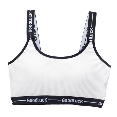 China Cotton Antibacterial Threaded Letters With Back Beautiful Pure Cotton Breathable Tube Top Seamless Chest Wrapped Yoga Sports Underwear for sale