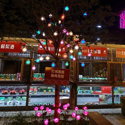 China Outdoor Waterproof Decoration New Arrival Pattern Light For Christmas Holiday Party Lights Park Garden Decoration Led Sphere Ball Light for sale