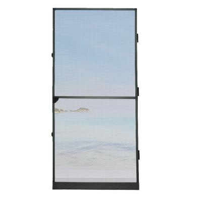 China Easy Install Diy High Quality Aluminum Sight Insect Door Mosquito Screen Fixed Door Screen Insect Net for sale