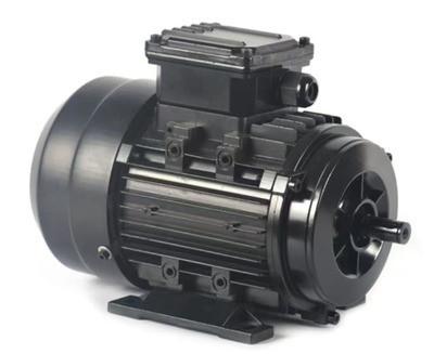 China Electric AC Motor 4HP-20HP IEC/Hollow Shaft  IEC1/IEC3AC Motor 208/230/460v for sale