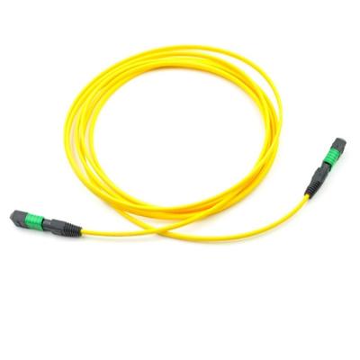 China China Telecom Manufacturer MPO-MPO MTP Trunk Cable 12 Core SM Singlemode Fiber Optic OS2 Patch Tie LSZH 3mm 3mt for sale