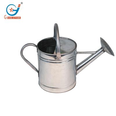 China For flower galvanized watering can for outdoor plants with removable spout, perfect metal watering can for indoor plants and garden flower for sale