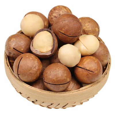 China Factory 100% Dry Bulk Fresh 2A 3A 5A Australia Hazelnuts Roasted Creamy Flavor Macadamia Wholesale for sale