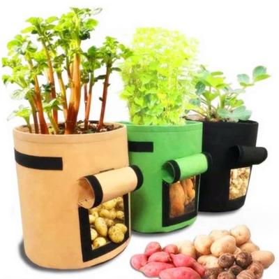 China Eco-friendly Fabric Plant 10 Gallon Gardening Vegetable Tomato mushroom Growing Planter Garden Potato Planting Pots felt Grow Bags for sale