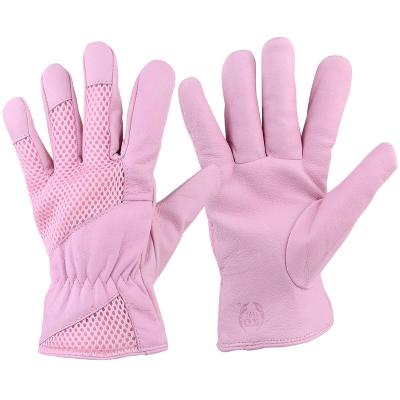 China Leather Women's Top Layer Working Gloves Eco-friendly Comfortable Breathable Work Fashion Gloves For Ladies for sale