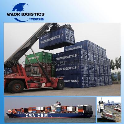 China professional sea freight shipping to qatar ALL SIZE-f881 for sale