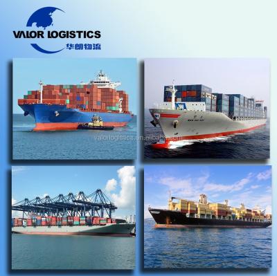 China reliable china customs agent clearance shipping service for sale