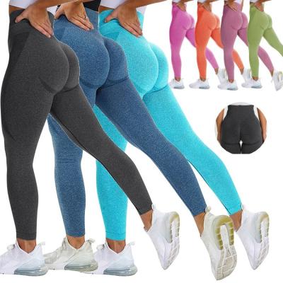 China New Arrival Breathable High Waist Workout Apparel Women Fitness Yoga Wear Multicolor Seamless Gaiters for sale