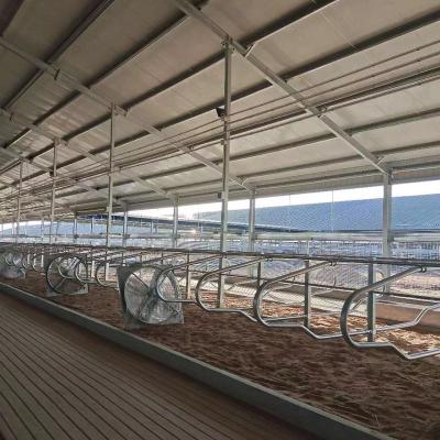 China Easily Assembled Galvanized Dairy Farm Equipment Cow Free Stall for sale