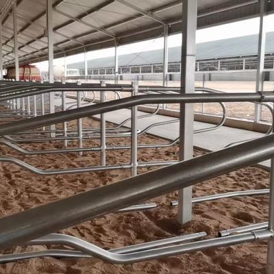 China Easily Assembled Free Standing OEM Dairy Cow Stall Pen Cow Special Livestock Barn Freestanding Equipments in UK for sale