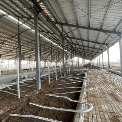 China Easily Assembled Freestanding Cow Farm Equipment Stall Dairy Barns Dairy Farm for sale