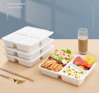 China New Disposable 100% Biodegradable Eco Food Lunch Box Eco Friendly Biodegradable Bags for sale