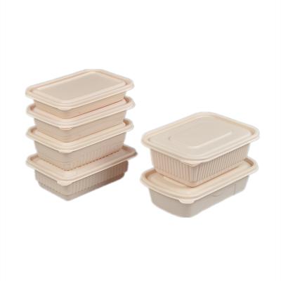 China Biodegradable Food Grade PLA Bagasse Hamburger Box Tray Recyclable Disposable Sugar Cane Packing Box for sale