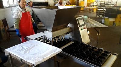 China Cadena de producción comercial de la torta máquina 380V/220V 5.78KW de la transformación de los alimentos en venta