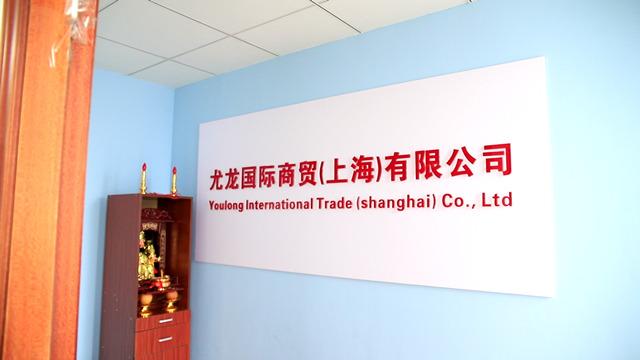 Verified China supplier - Youlong Internationai Trade (shanghai) Co., Ltd.