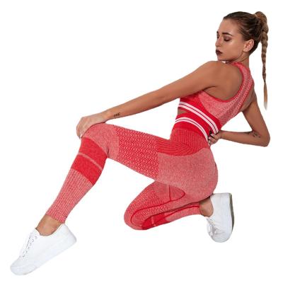 China Highly Recommended Breathable Convenience Training Wear Seamless Gym Wear Women Sport Wear for sale