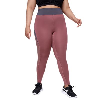 China Large Size Breathable Dimensional Cut Women Sports Pants Gym Exercise Fitness Plus Size Yoga Legging for sale