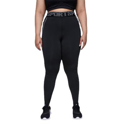 China Professional Manufacturer Breathable Fabric Yoga Pants Plus Size Women Gym Yoga Pants for sale