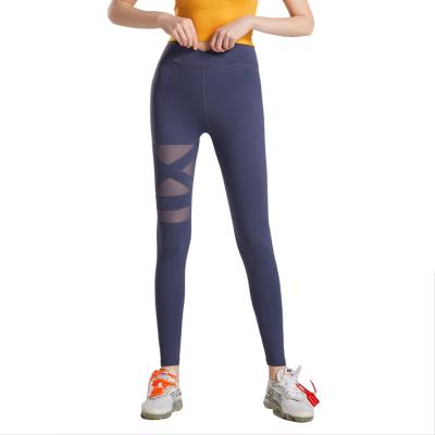 China Newest Breathable Fabric Women Gaiters Gym Fitness Draw Long Back Sports Pants for sale