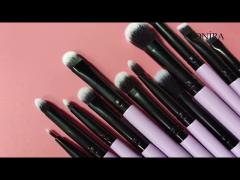 Synthetic 12 Pieces Taklon Fiber Eye Makeup Brushes Set