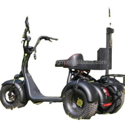 China High Quntity Unisex EU Warehouse Wholesale 3 Wheels Golf Cart EEC COC E Electric Scooter Citycoco Fast 2000W For Adults for sale