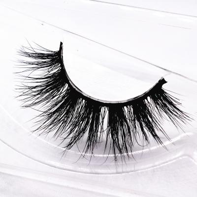 China wholesale Cosmetic lashes customised mink lashes with contact Lenses Te koop