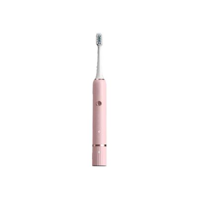 China Electronic Toothbrush Electric Toothbrush Radio Charging Rechargeable Customized eletric Toothbrush For Adult for sale